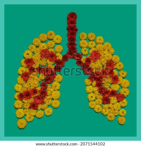 Shape of human lungs, flower installation, lungs health concept. Part of set medical pictures of internal human organs