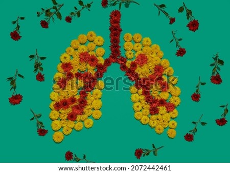 Shape of human lungs, flower installation, lungs health concept. Part of set medical pictures of internal human organs