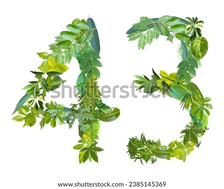 The shape of the number 43 is made of various kinds of leaves isolated on transparent background. suitable for birthday, anniversary and memorial day templates
