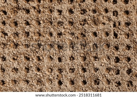 The shape and pattern of the plant seeding holes in the field. The hole contains vegetable seeds. looks very neat