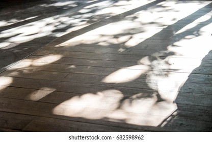 The shape of the shadows of light shining through the trees.