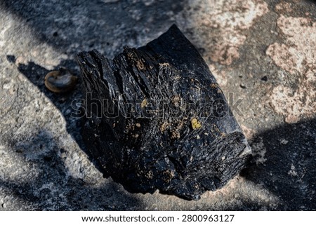 The shape and texture of the eighth person made of burnt wood