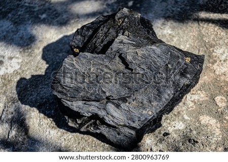 The shape and texture of the eleventh person made of burnt wood