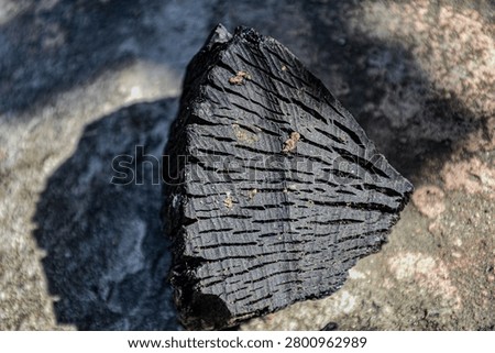 The shape and texture of the seventh person made of burnt wood