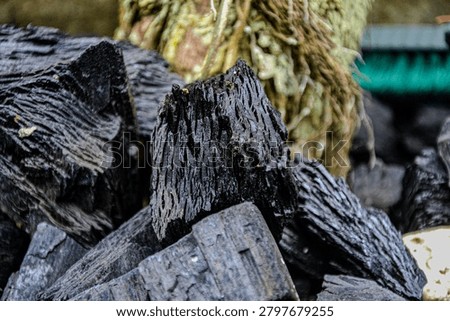 Shape, Texture and Side of the Thirteenth Type of Charcoal