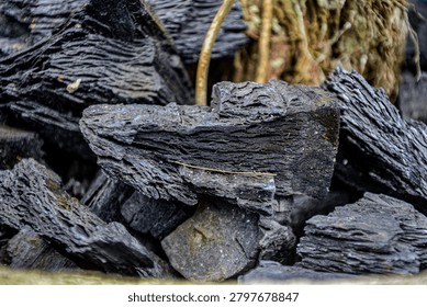 Shape, texture and sides of the eleventh type of charcoal