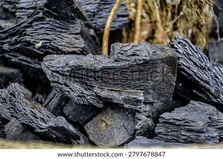 Shape, texture and sides of the eleventh type of charcoal