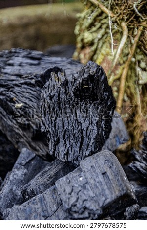 Shape, texture and sides of the ninth type of charcoal