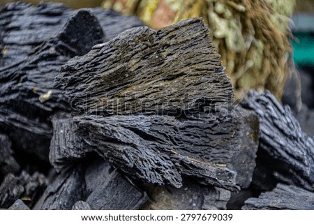 Shape, texture and sides of the twelfth type of charcoal