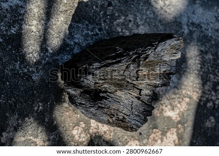 The shape and texture of the sixth person made of burnt wood