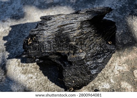 The shape and texture of the thirteenth person made of burnt wood