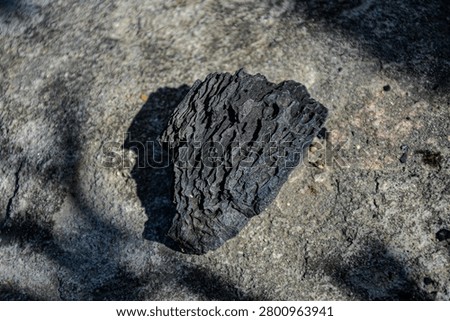 The shape and texture of the twelfth person made from burnt wood