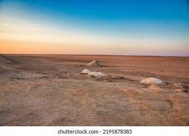 Shara Douz Oasis In Sahara Dessert.