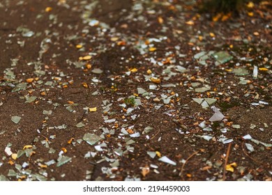 Shards Of Glass On Clay Ground. Small Pieces Of Broken Windows. Texture Of Pieces Of Glass On The Floor