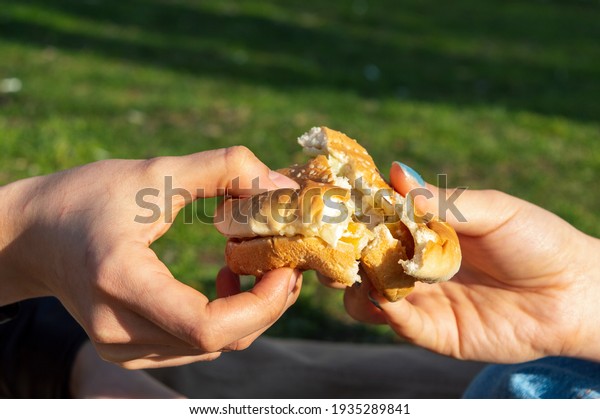 share food.two friends divide a hamburger in half\
and share