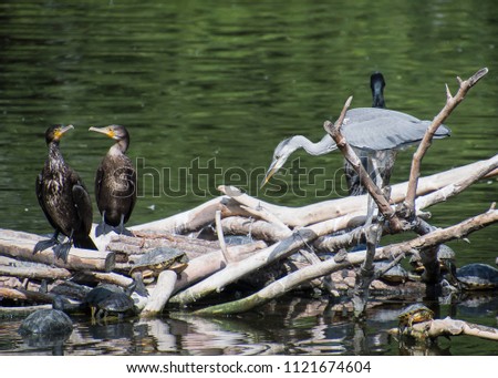 sharing restplace  for you