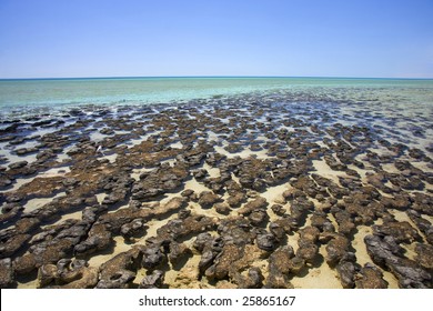 Shark Bay