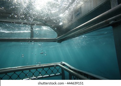 Shark Cage, Neptune Islands, South Australia, Indian Ocean