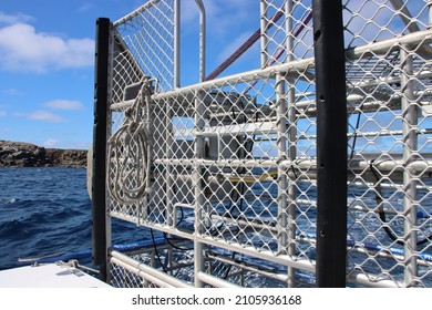 Shark Diving Cage Near The Neptune Islands, Spencer Gulf, South Australia.