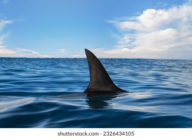 Aleta de tiburón en la superficie del océano en un cielo nublado y claro