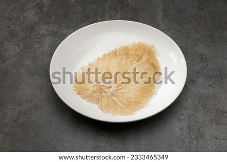 Shark fins food raw material premium ingredient for fine dining cooking. Dry Shark fin isolated on plate white background