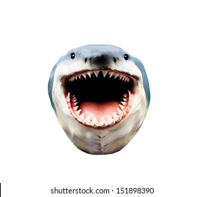shark head model isolated on white background