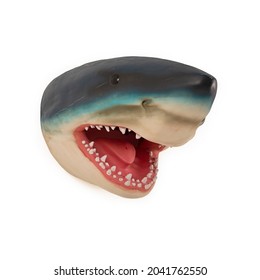 Shark Head Model On White Background