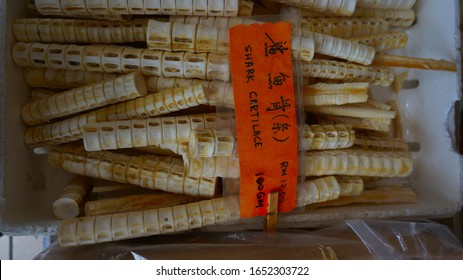 Shark Head And Shark Skeleton / Cartilage, Shark Cartilage Is Most Famously Used For Cancer, Are Sold At A Local Dry Seafood Store.