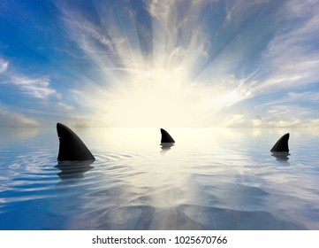 Shark Infested Waters - Powered by Shutterstock
