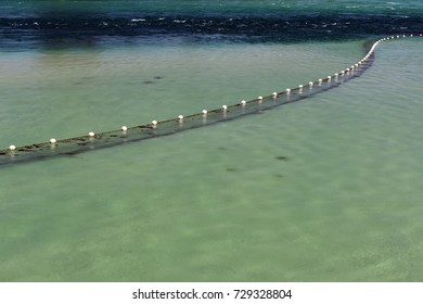 Shark Net In Clear Water