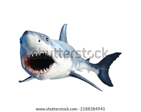 Shark with open jaws closeup. Isolated on white.
