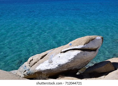 Shark shape rock is