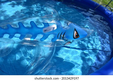 Shark Swim Toy In A Pool