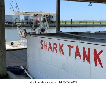 Shark Tank Fishing Boat Water