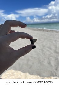 Shark Tooth Tropical Beach Photography