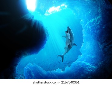 shark in underwater stomach cave 