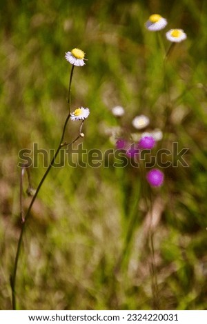 Similar – Family outing to the countryside