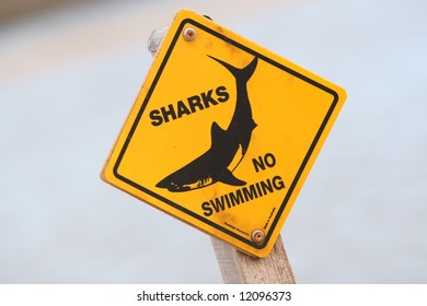 Shark Warning Sign