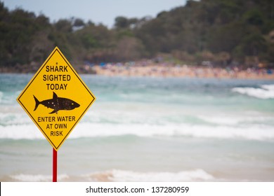  Shark Warning Sign On The Beach