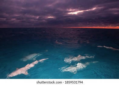 Sharks Feeding On The Surface, With A Stormy Sunset In The Background