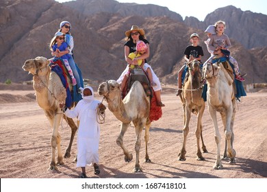 Sharm El Sheikh, Egypt - March 18, 2020: Tourists Riding Camels In The Egypt Desert. 