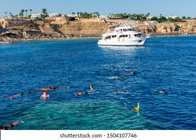 SHARM EL-SHEIKH, EGYPT -JULY 14, 2019: A Group Of Tourists Snorkeling And Scuba Diving In Red Sea, Sharm El Sheikh, Egypt
