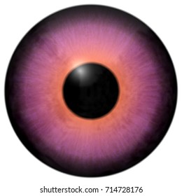 Sharp attractive deep eye texture.