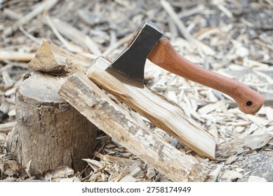 Sharp axe embedded in split firewood on tree stump with wood chips scattered around, outdoor woodcutting, camping preparation, and rustic forestry work tools in nature.                               