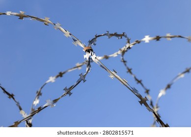 Sharp barbed wire of gray metal against a clear sky background, stretched barbed wire acts as a perimeter security element.