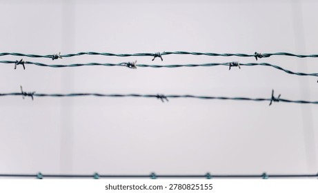 Sharp barbed wire lines against soft industrial background