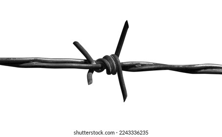 Sharp Barbed Wire, War Iron Barbed Wire. Barbed wire to prevent burglars