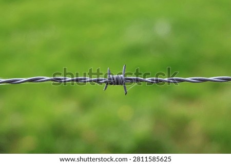 A sharp, close-up macro view of a strand of barbed wire featuring a barb cluster and fine spiderwebs, isolated against a brilliant, blurry green field