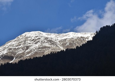 A sharp diagonal contrast splits the landscape. In the foreground, a steep mountain slope rises from the bottom right, completely covered in a dense forest of dark evergreen pine trees cast in deep shadow.

Behind this dark forested ridge, a massive mountain peak rises prominently. Its broad, rugged upper slopes are heavily dusted with white snow, revealing a textured pattern of exposed rocky earth beneath the winter coating. The summit stands out against a vivid blue sky, which features soft, wispy white clouds drifting past the right side of the peak. Bright, clear daylight illuminates the snow-capped massif, creating a stark tonal contrast with the shadowed forest below.