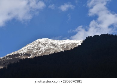 A sharp diagonal contrast splits the landscape. In the foreground, a steep mountain slope rises from the bottom right, completely covered in a dense forest of dark evergreen pine trees cast in deep shadow.

Behind this dark forested ridge, a massive mountain peak rises prominently. Its broad, rugged upper slopes are heavily dusted with white snow, revealing a textured pattern of exposed rocky earth beneath the winter coating. The summit stands out against a vivid blue sky, which features soft, wispy white clouds drifting past the right side of the peak. Bright, clear daylight illuminates the snow-capped massif, creating a stark tonal contrast with the shadowed forest below.